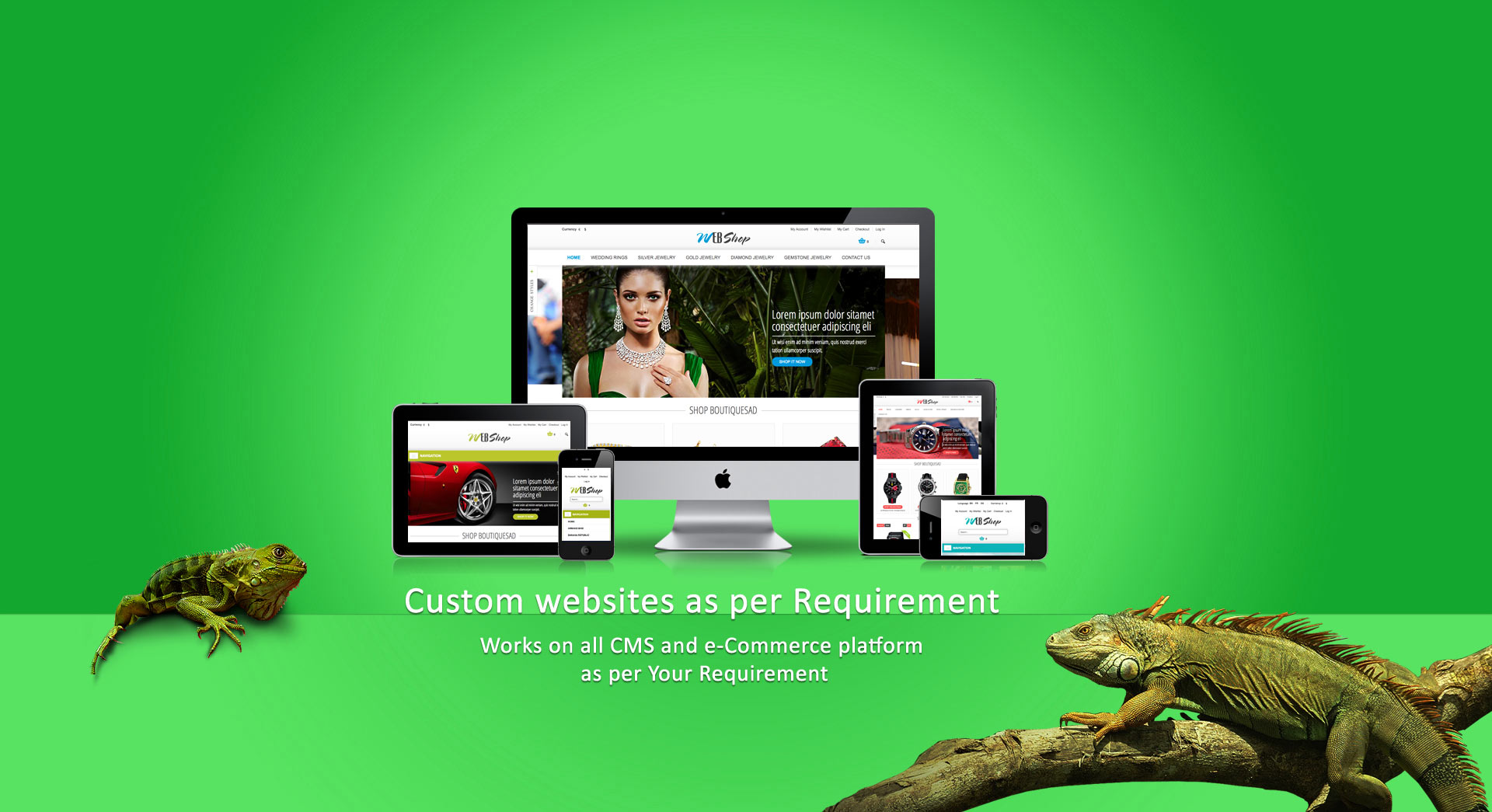 CMS and eCommerce Websites